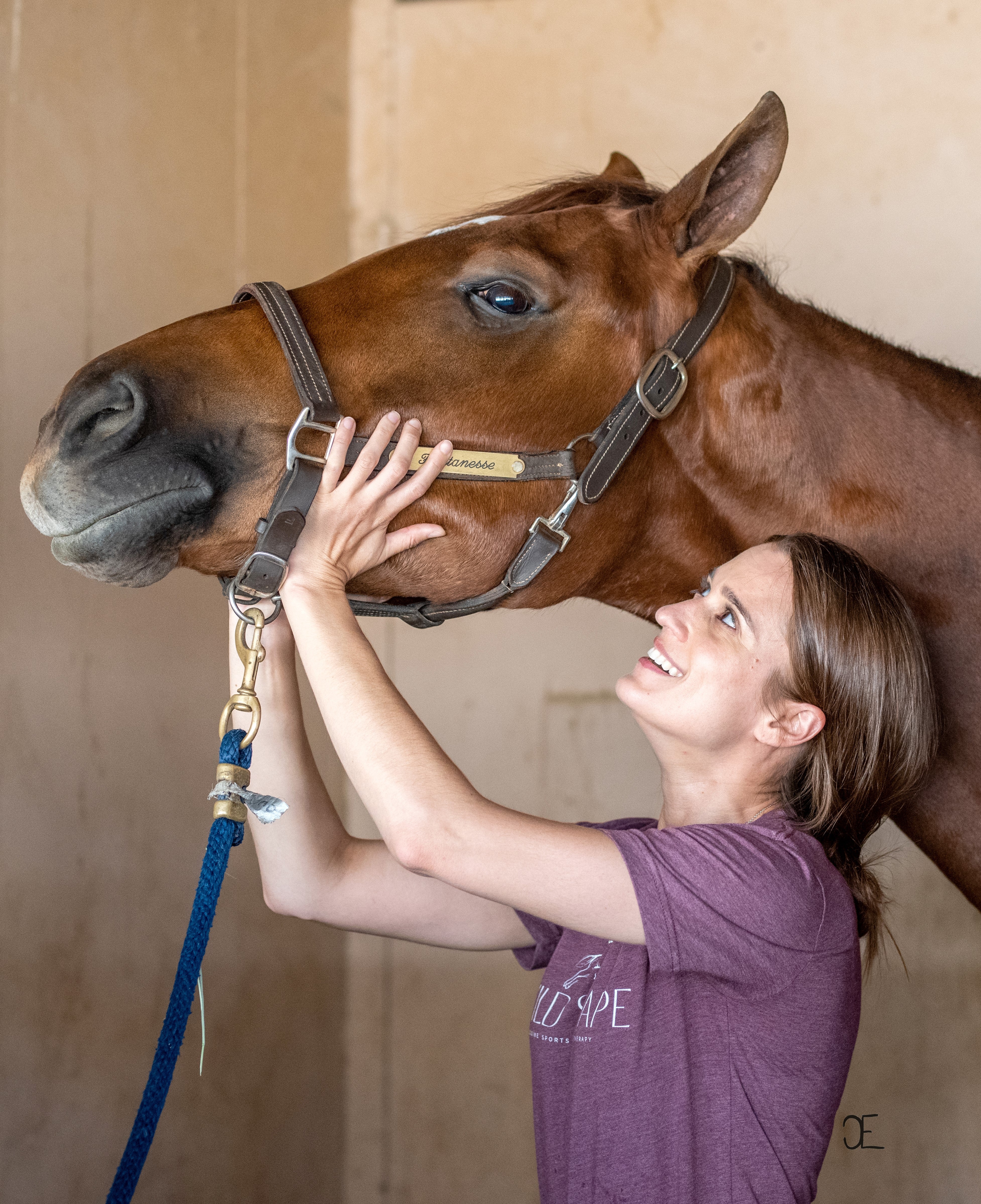 Holistic Equine Bodyworker Professional Program