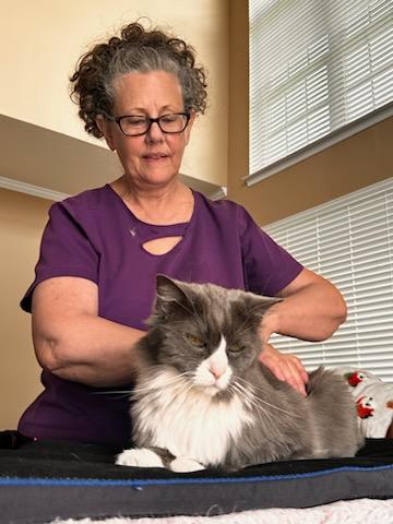 Feline Bodywork Certification Course