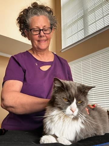 Professional Animal Bodywork Certification Program