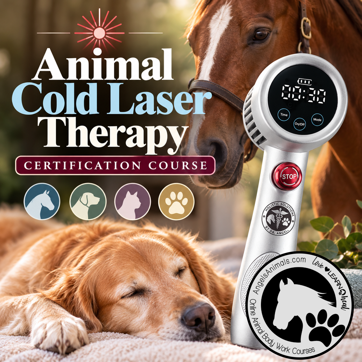 Animal Cold Laser Therapy Certification Course