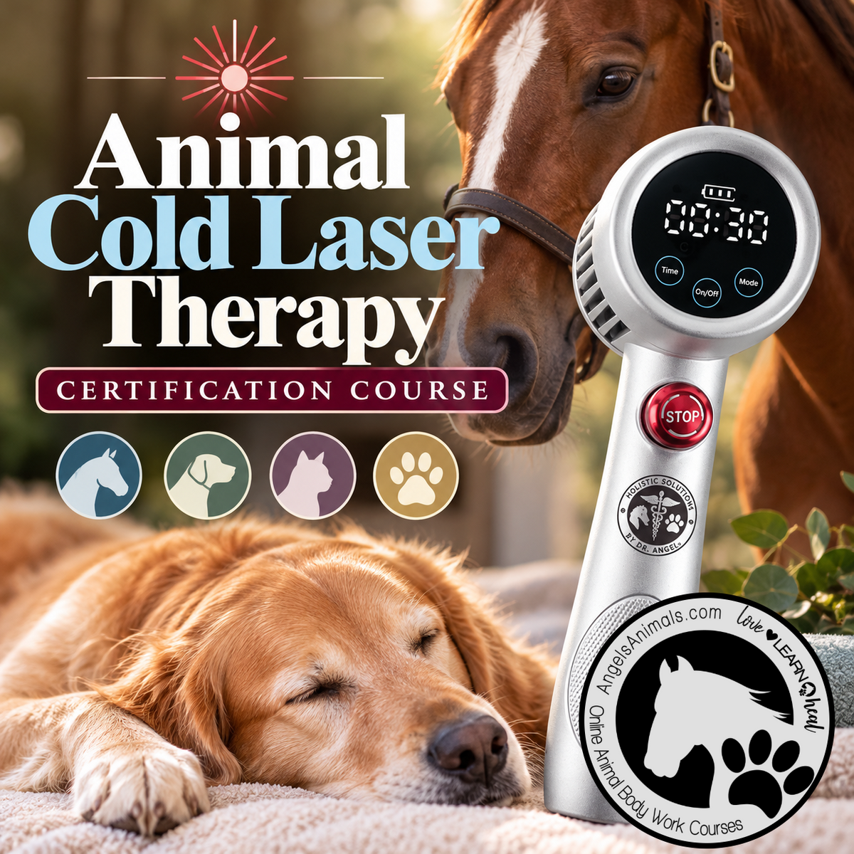 Animal Cold Laser Therapy Certification Course