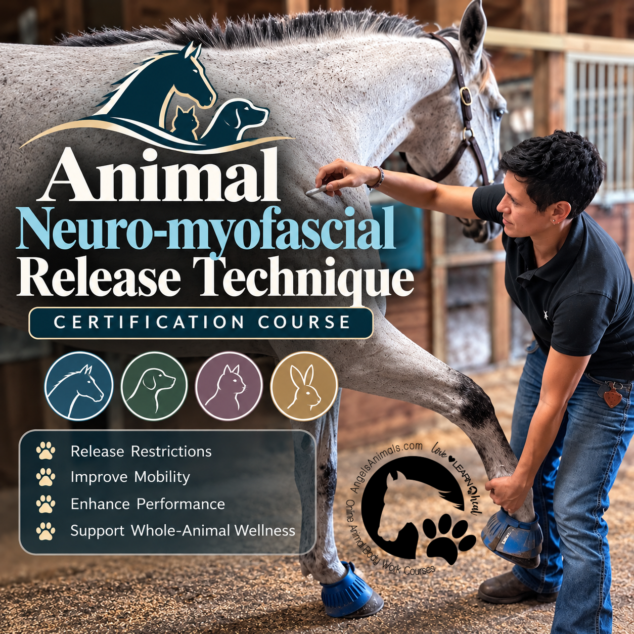 Animal Neuro-myofascial Release Technique Certification Course
