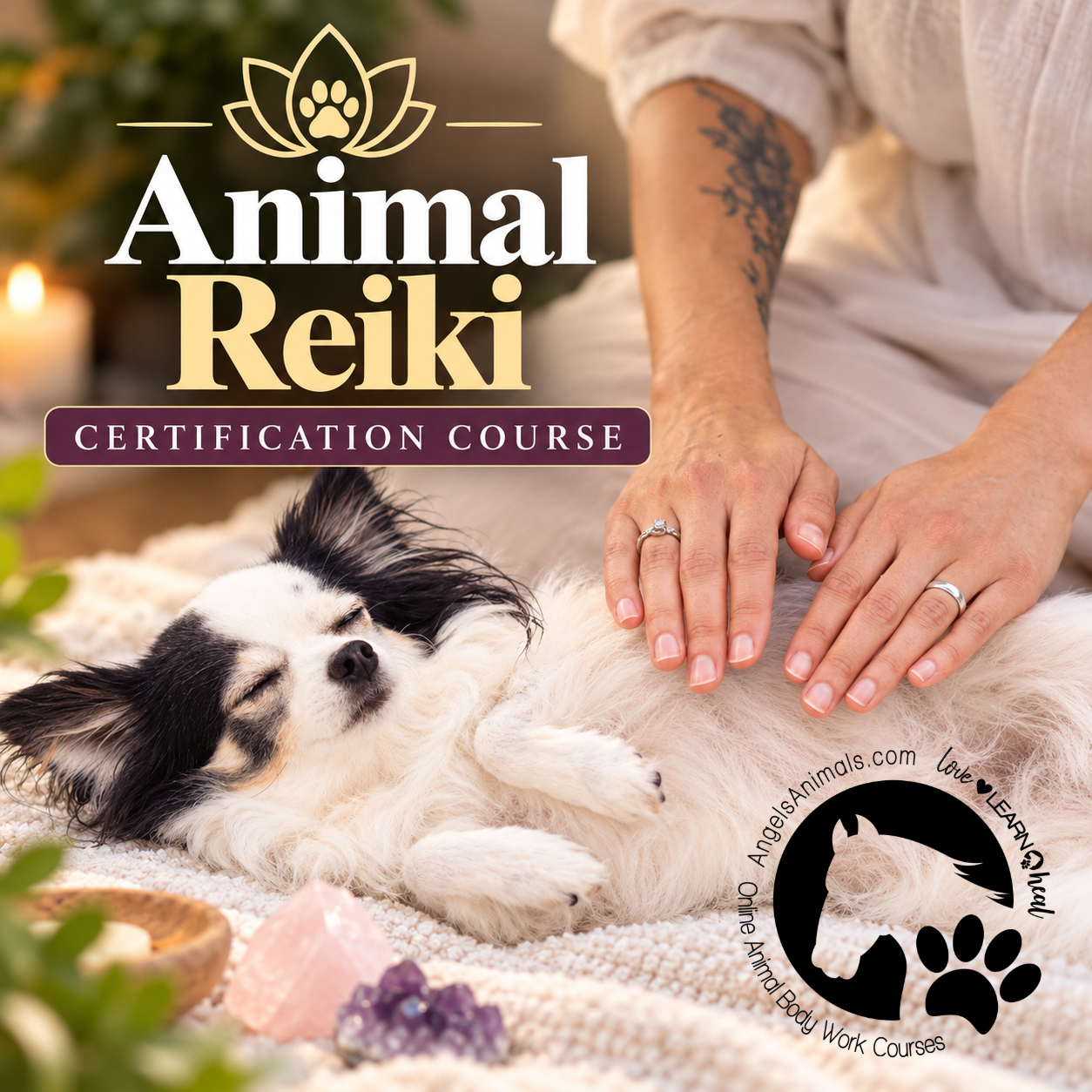 Animal Reiki Certification Course