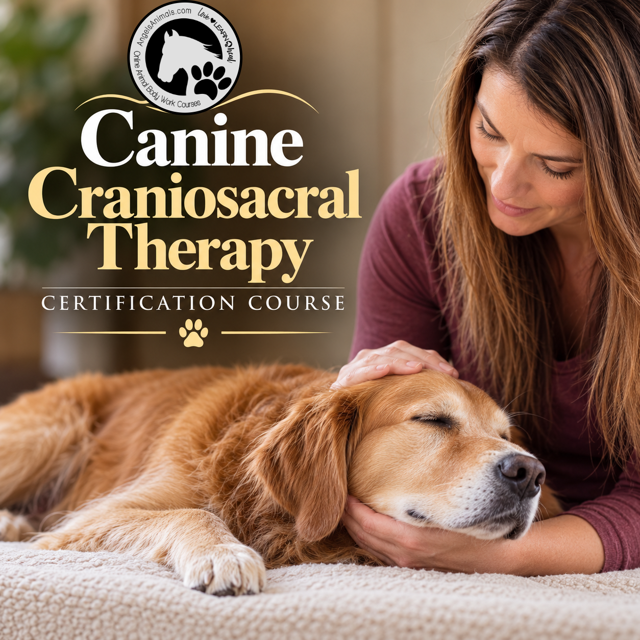Canine Craniosacral Therapy Certification Course