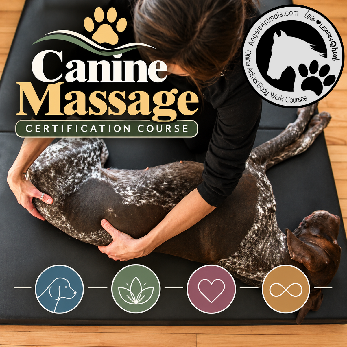 Canine Massage Certification Course