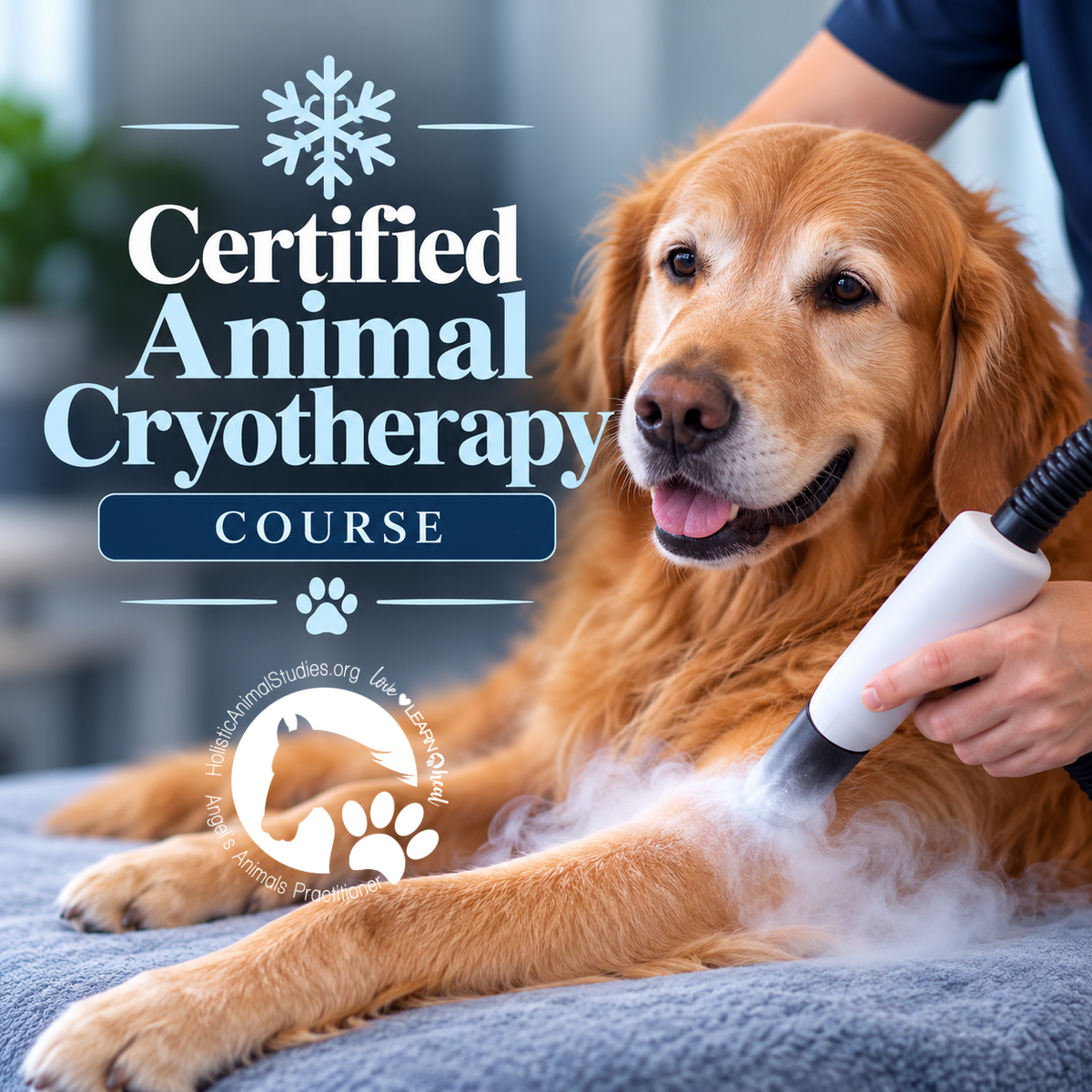 Certified Animal Cryotherapy Course: Equine & Small Animal Applications