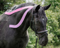 Equine Kinesiology Taping Certification Course