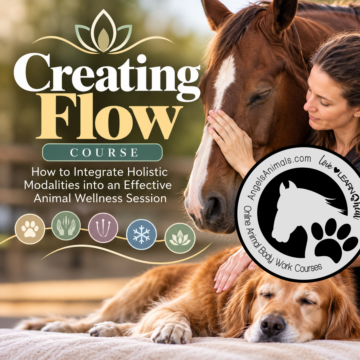 Creating Flow Course: How to Integrate Holistic Modalities into an Effective Animal Wellness Session