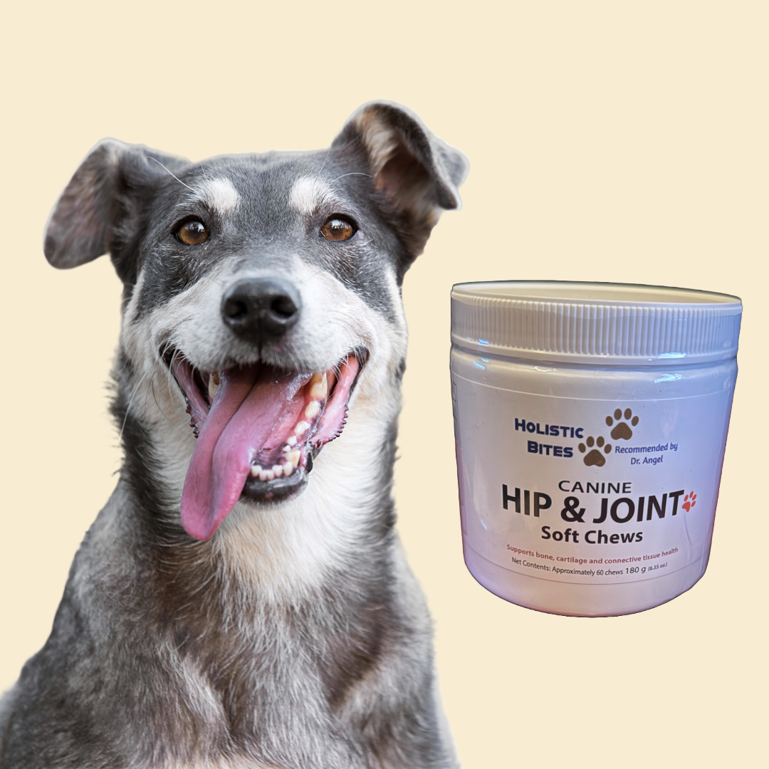 Canine Hip & Joint Soft Chews for Mobility Support