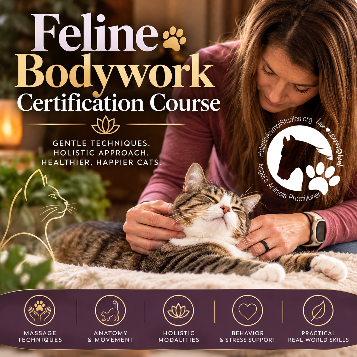 Feline Bodywork Certification Course