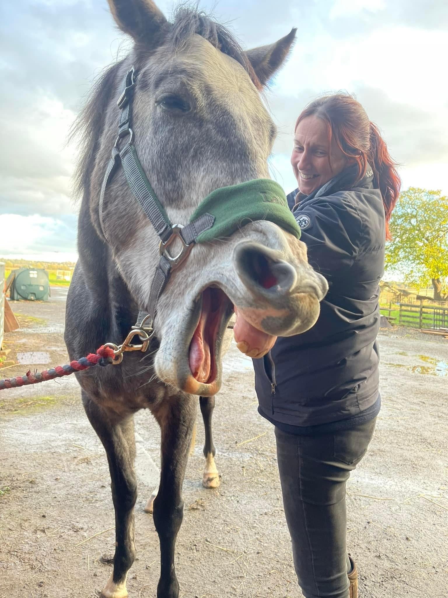 Equine Craniosacral Therapy Certification Course