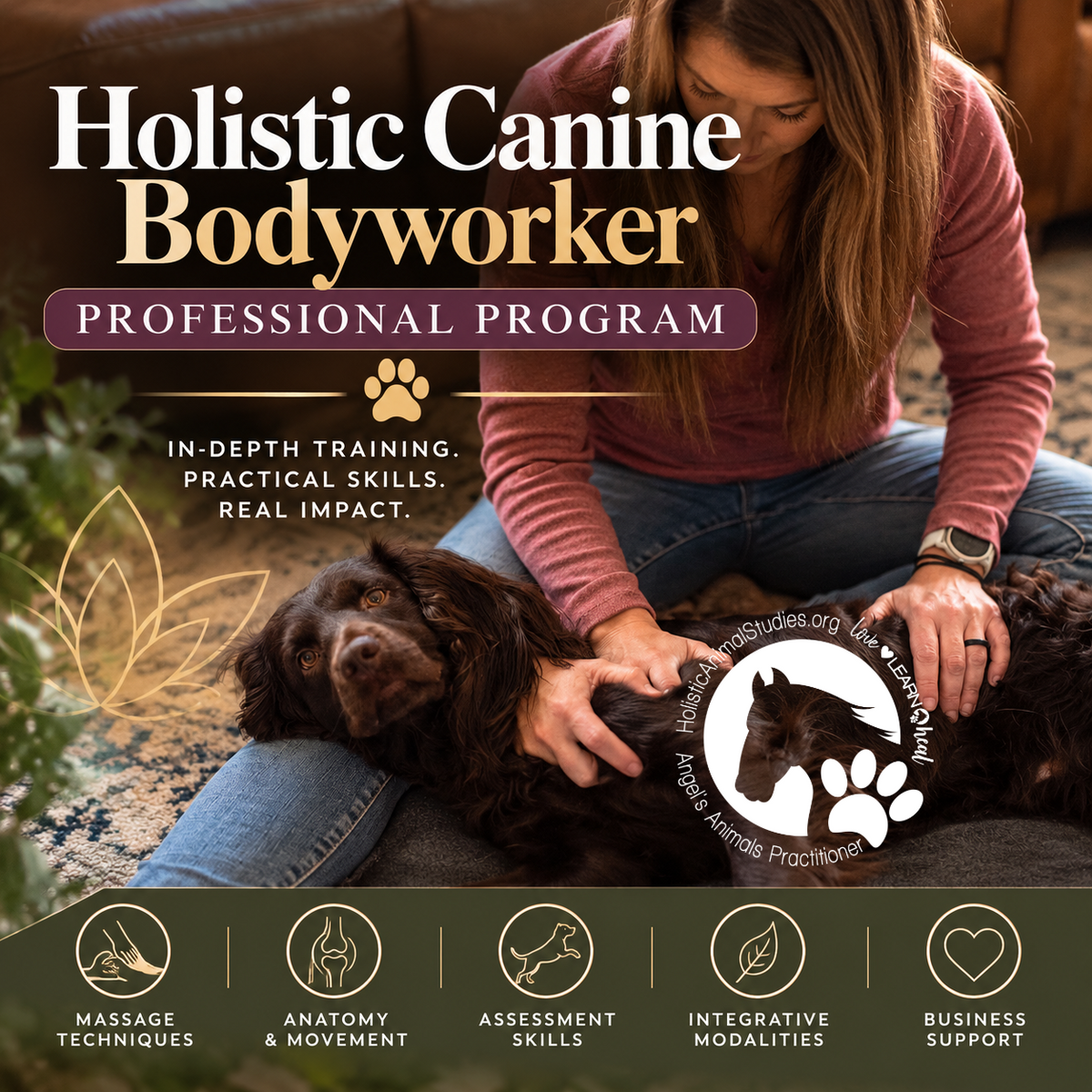Holistic Canine Bodyworker Professional Program