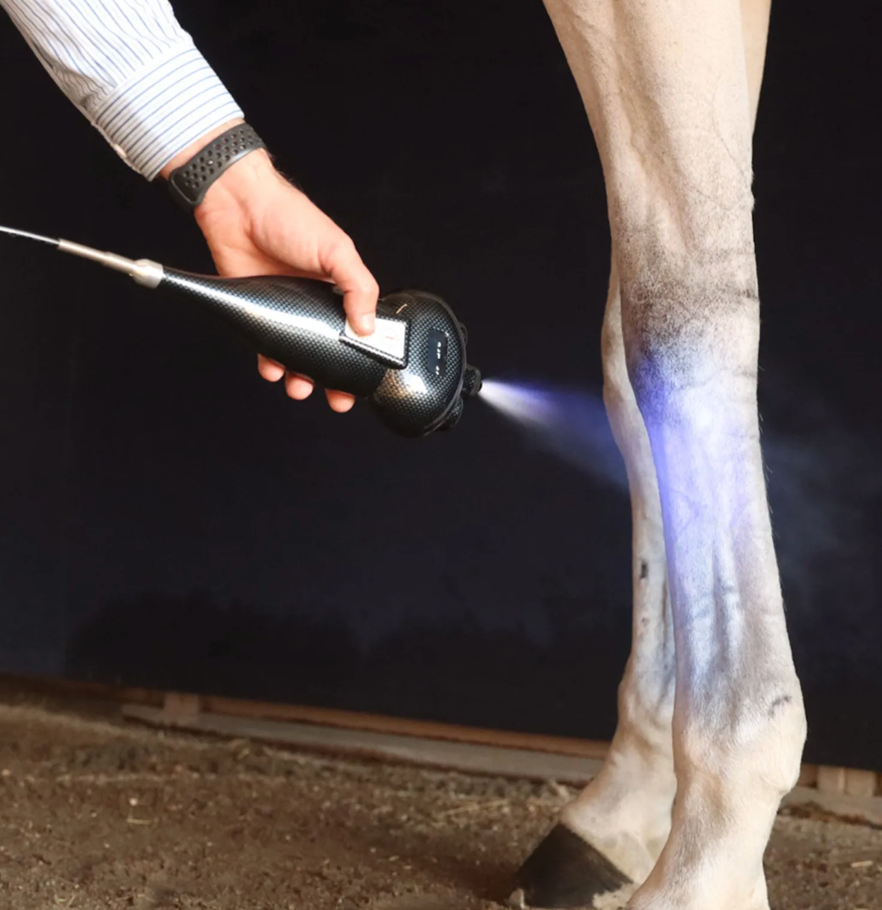 Certified Animal Cryotherapy Course: Equine & Small Animal Applications