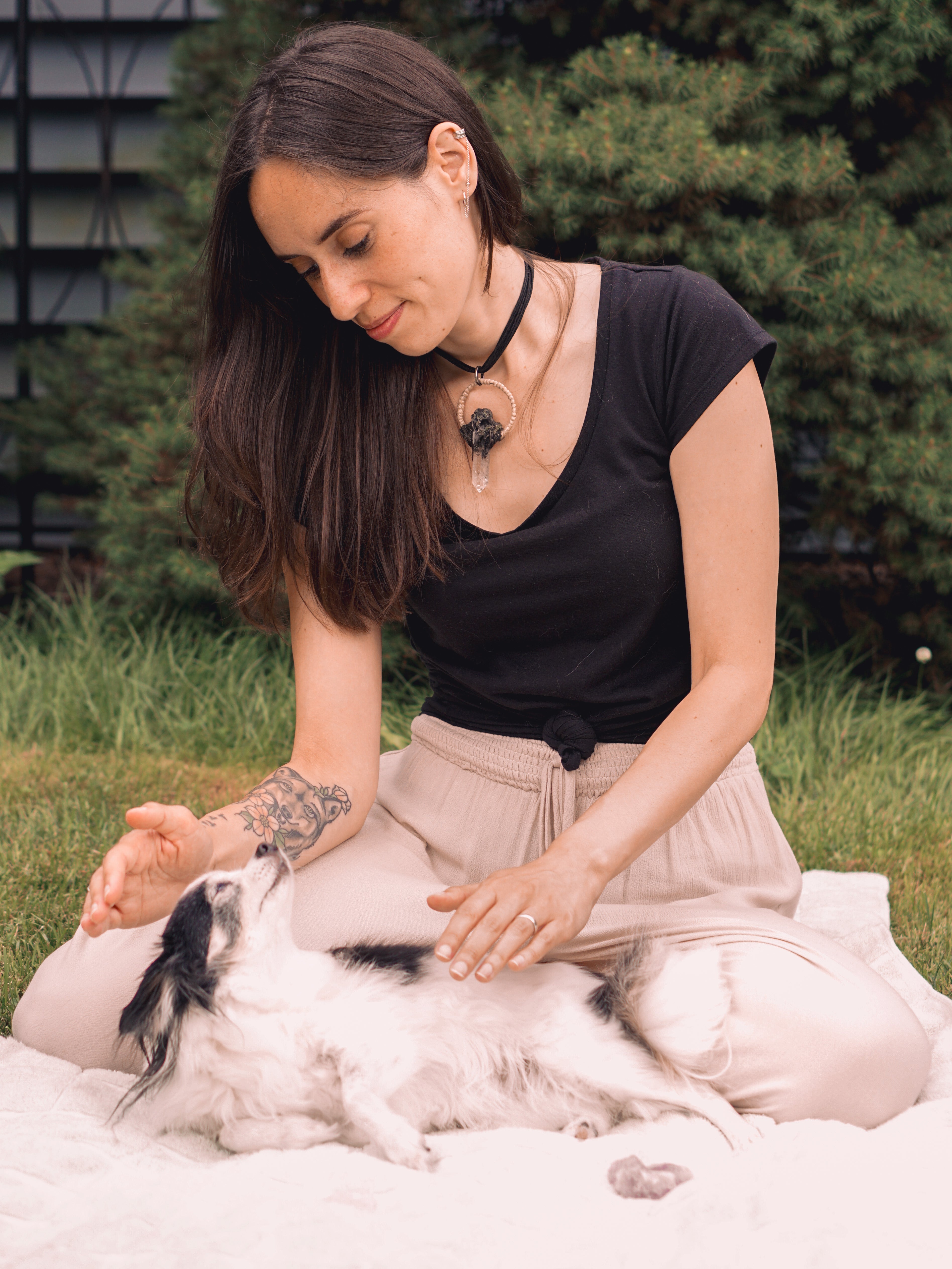 Animal Reiki Certification Course