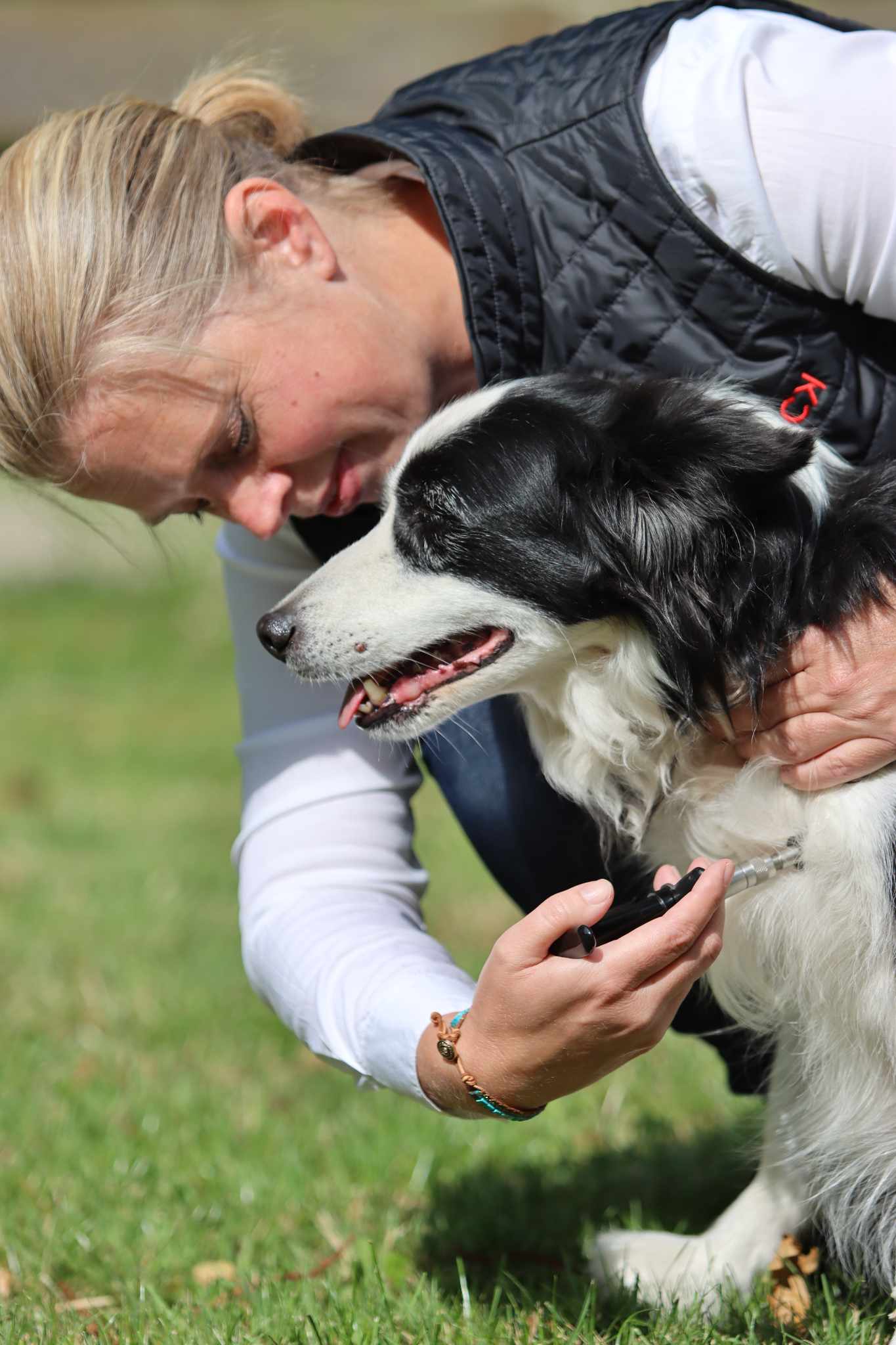 Professional Animal Bodywork Certification Program
