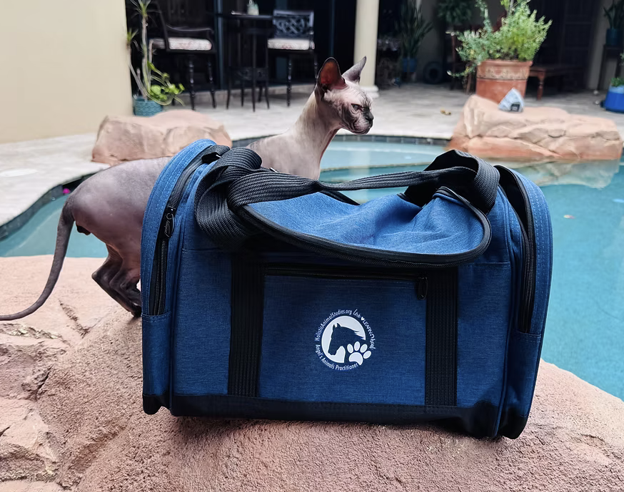 Become a Professional Animal Bodyworker