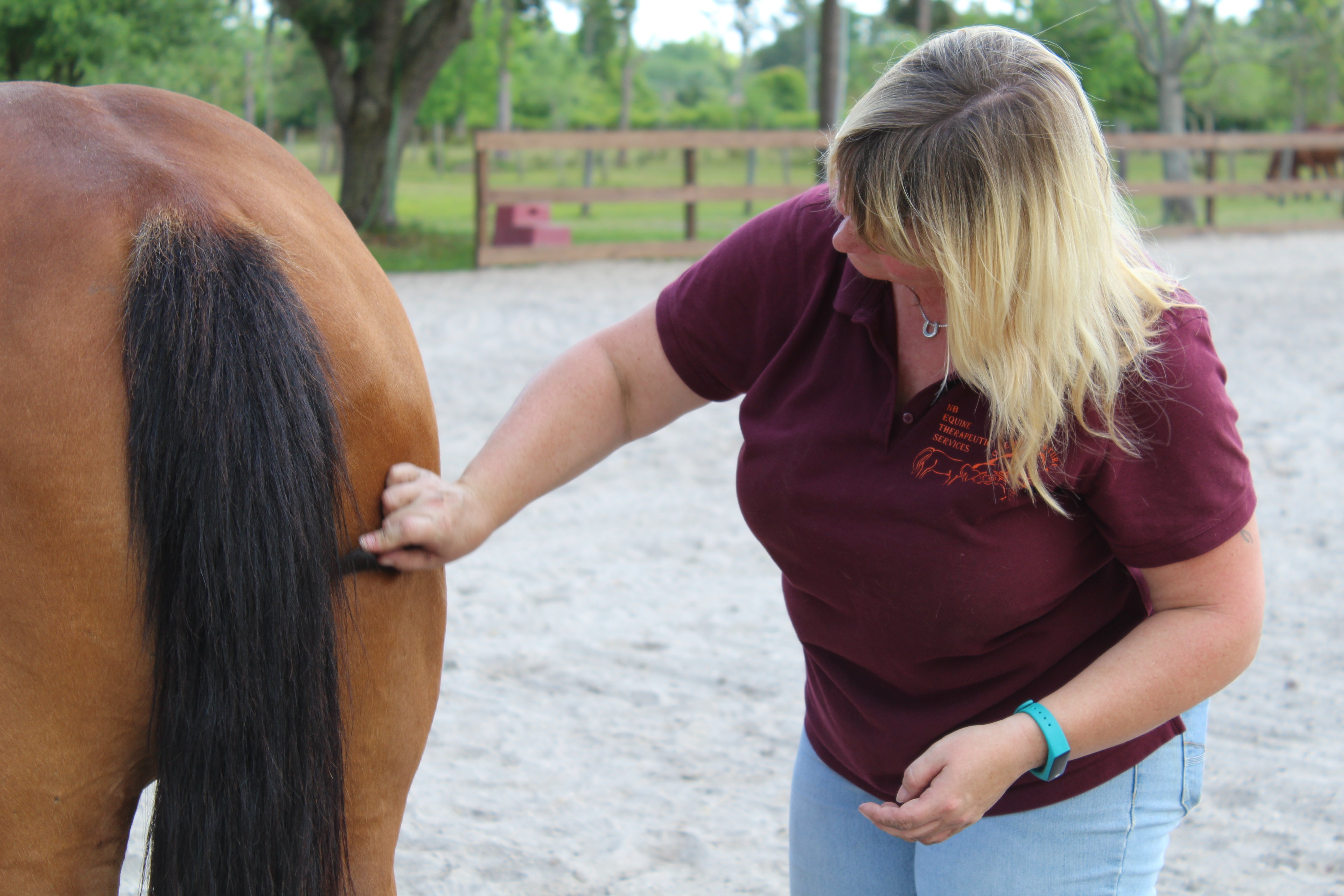 Gua Sha Massage for Animals