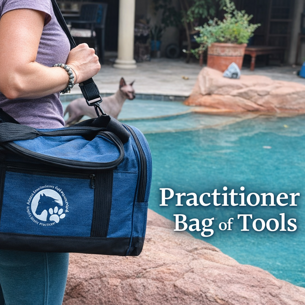 Practitioner Bag of Tools with Training Options