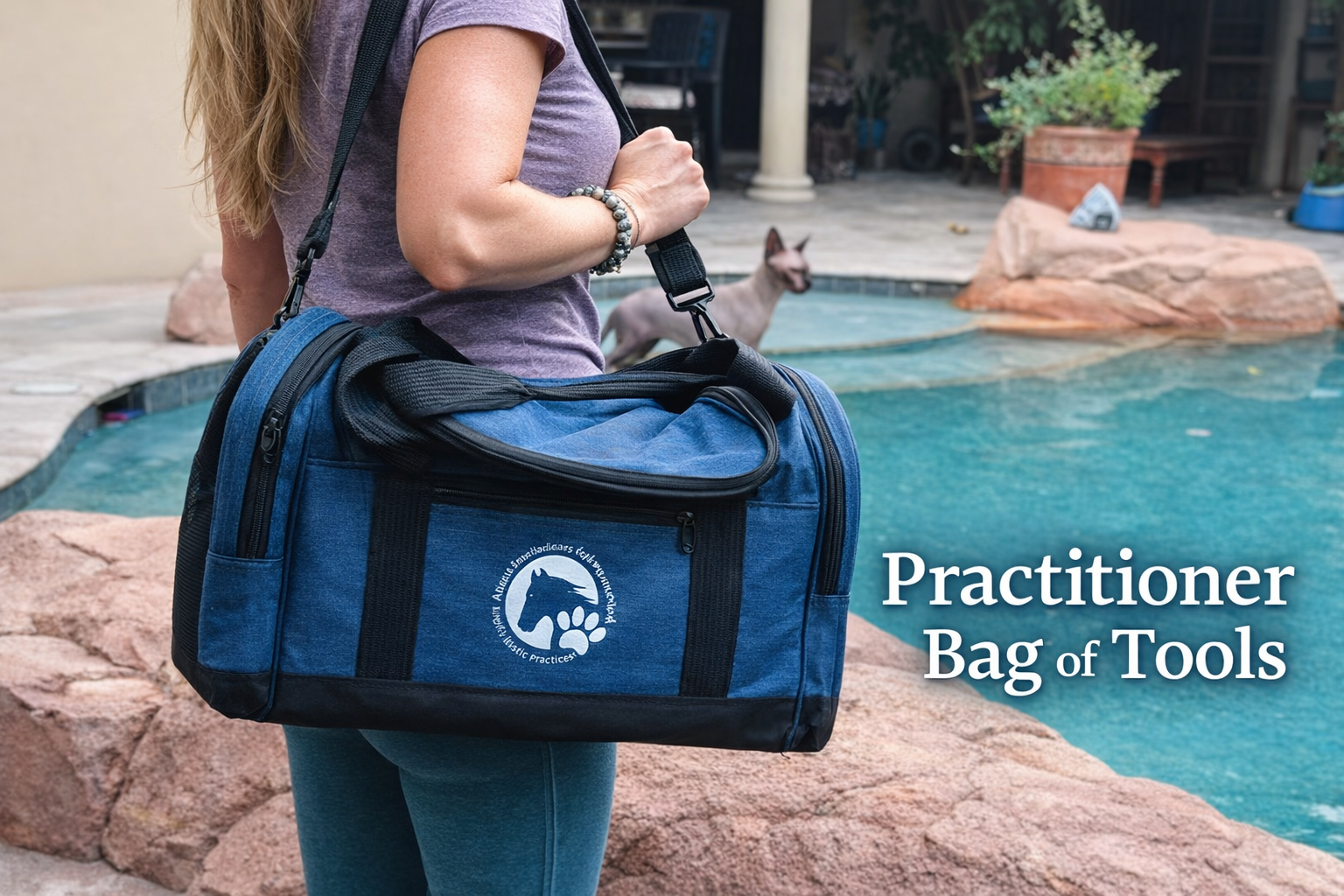 Practitioner Bag of Tools with Training Options