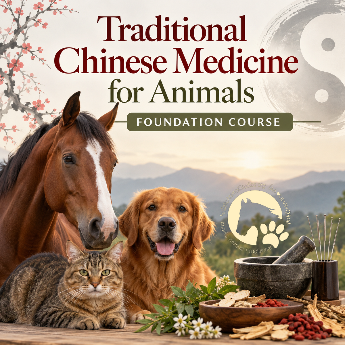 Traditional Chinese Medicine for Animals Foundation Course