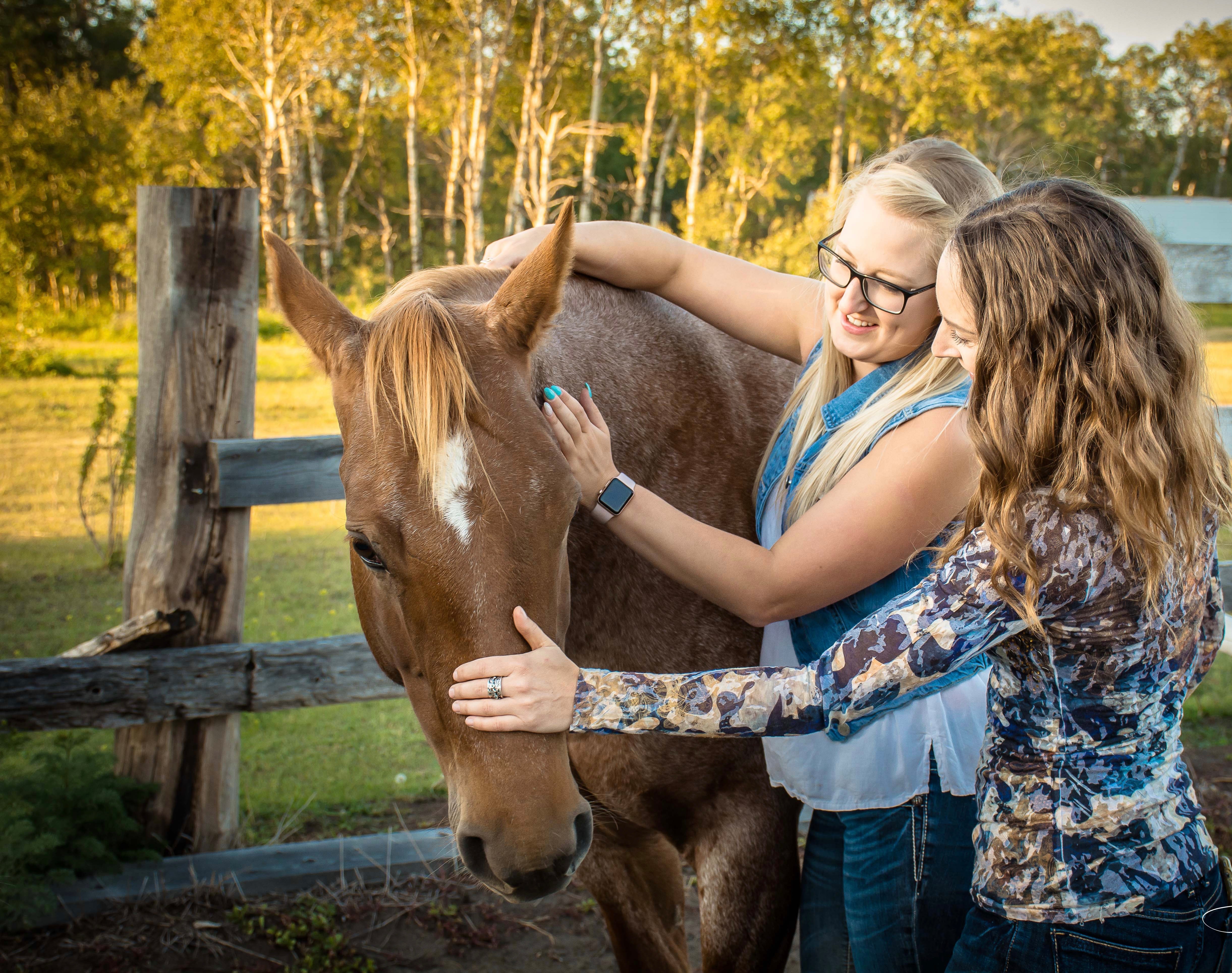 Professional Animal Bodywork Certification Program