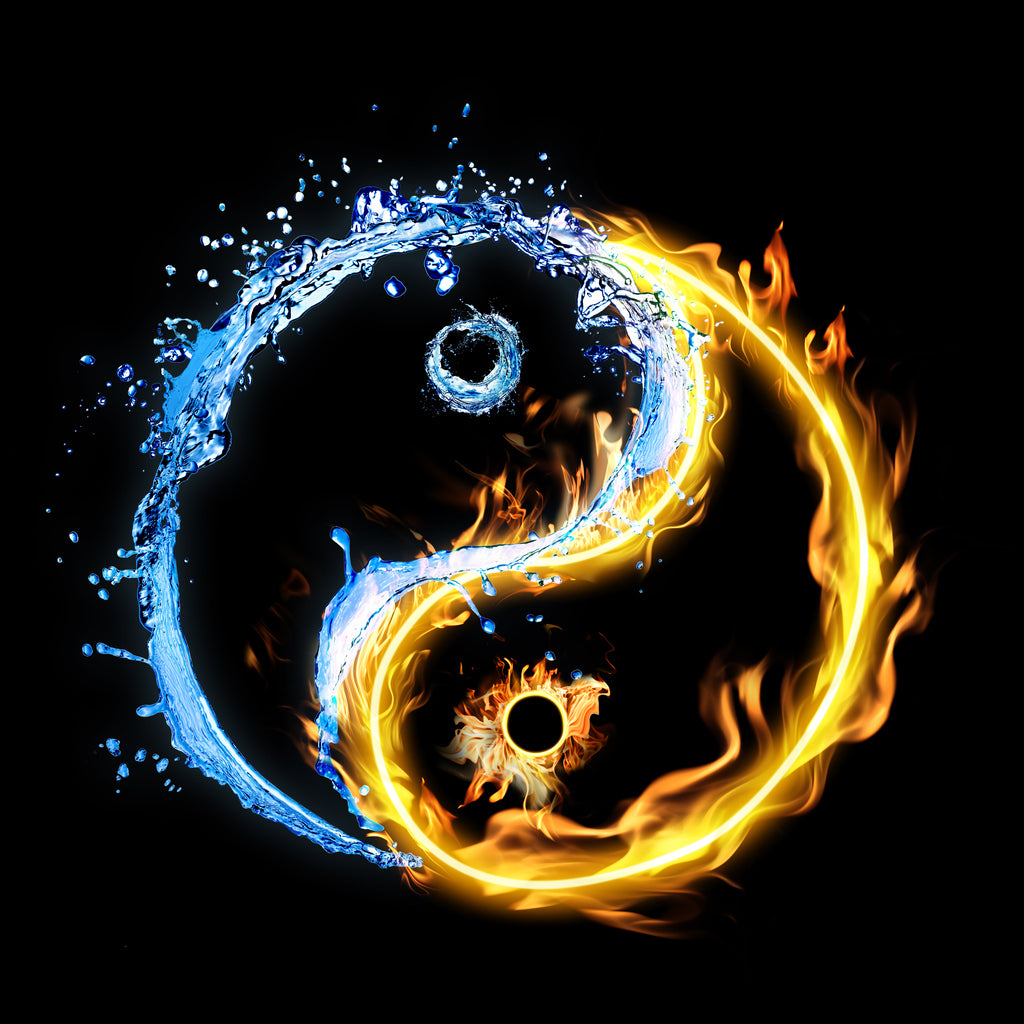 Traditional Chinese Medicine for Animals Foundation Course