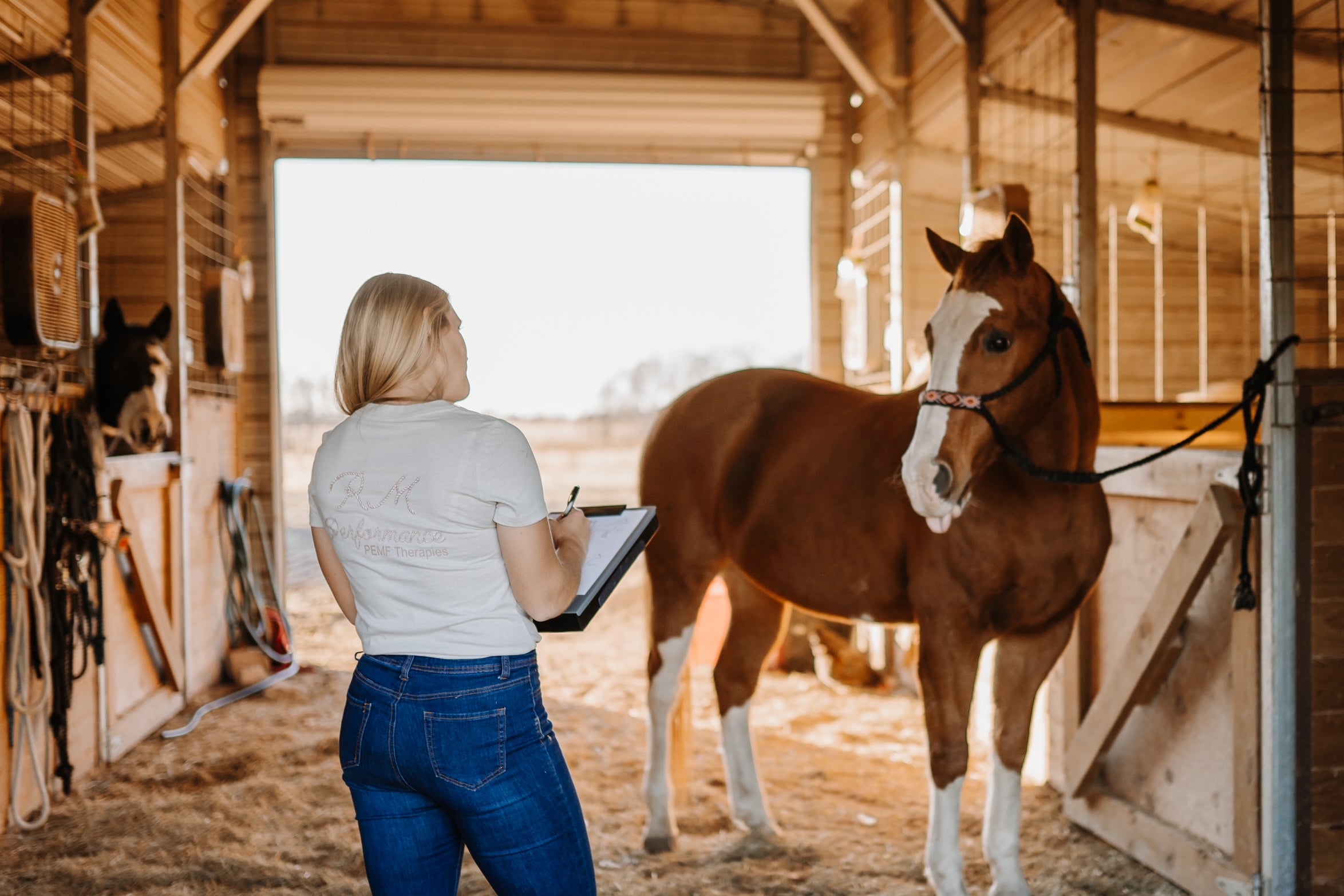 Creating Flow Course: How to Integrate Holistic Modalities into an Effective Animal Wellness Session