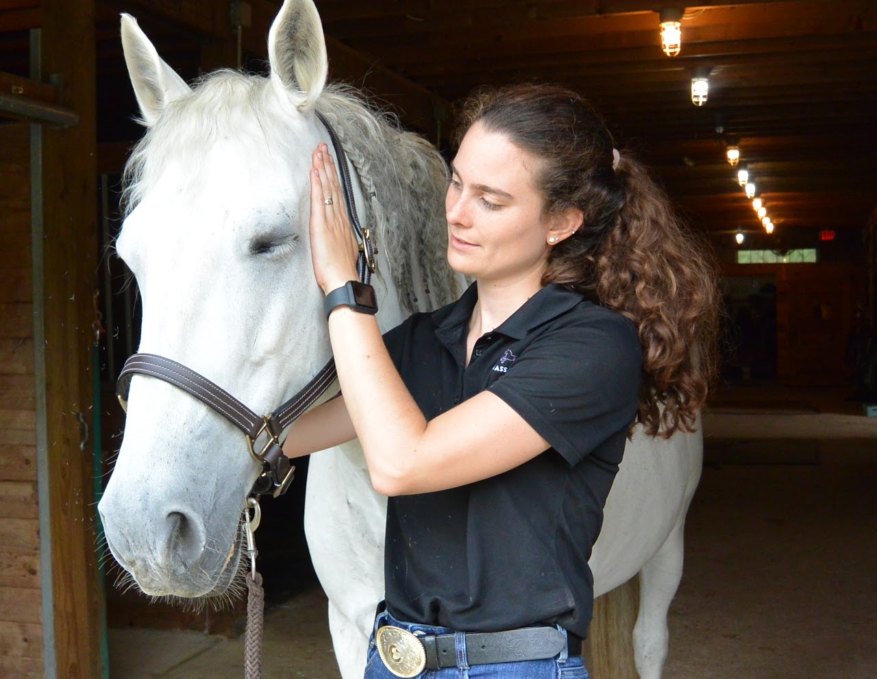 Holistic Equine Bodyworker Professional Program