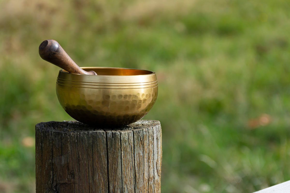 Introduction to Sound Therapy Foundation Course