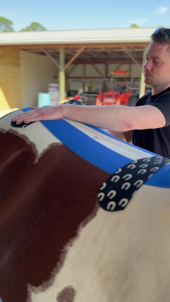 Equine Kinesiology Taping Certification Course