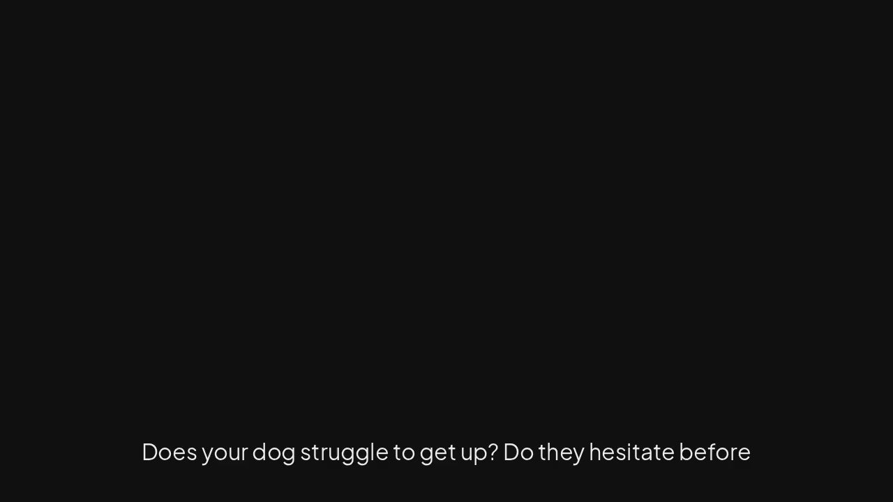 Canine Hip and Joint Soft Chews