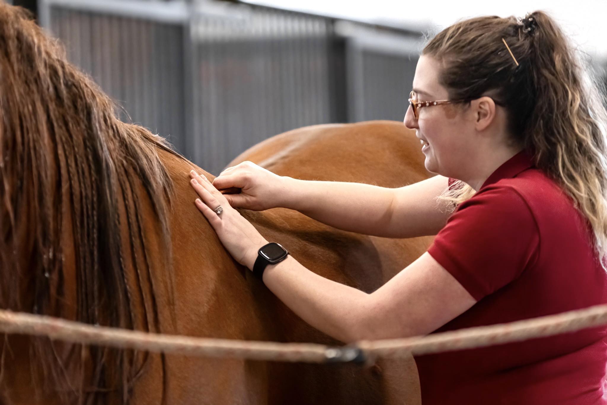 Holistic Equine Bodyworker Professional Program