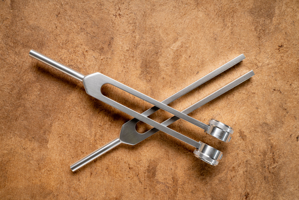 Tuning Fork Therapy for Animals Certification Course