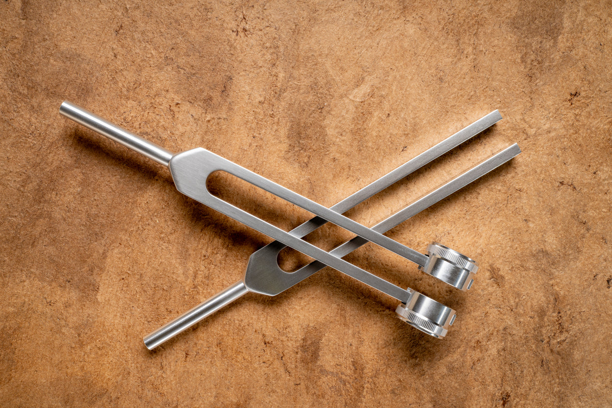 Tuning Fork Therapy for Animals Certification Course